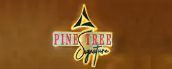 Pinetree-Logo